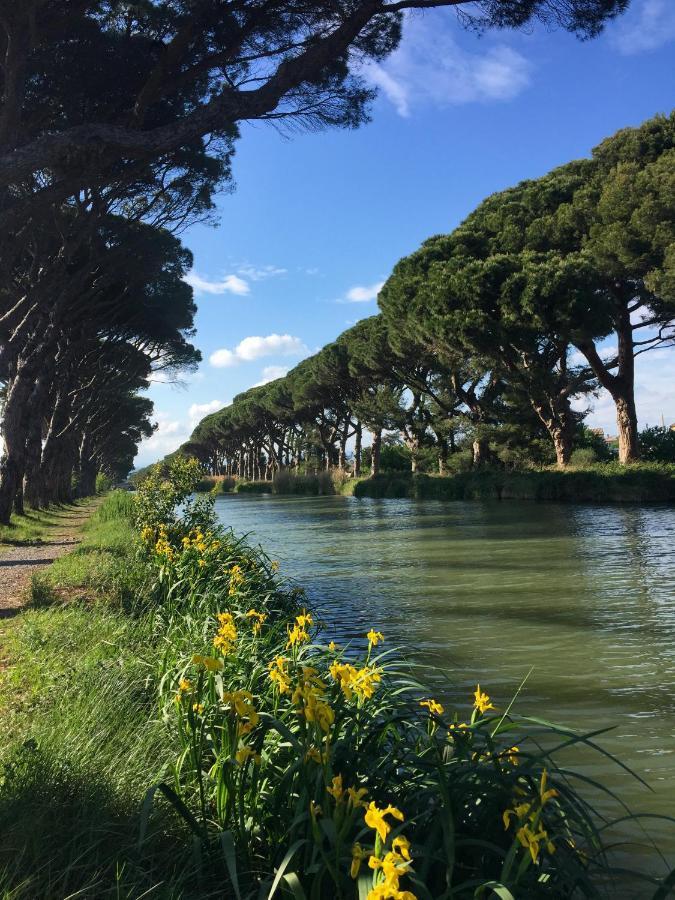 La Passerelle du Canal Sallèles-dʼAude Extérieur photo